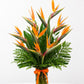 Bird of Paradise Elegance