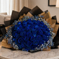 Midnight Sapphire 50 Rose Bouquet