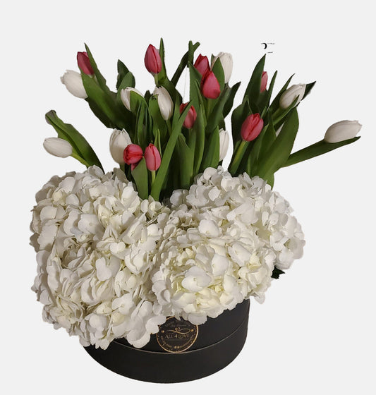 Sweet tulips and hydrangeas